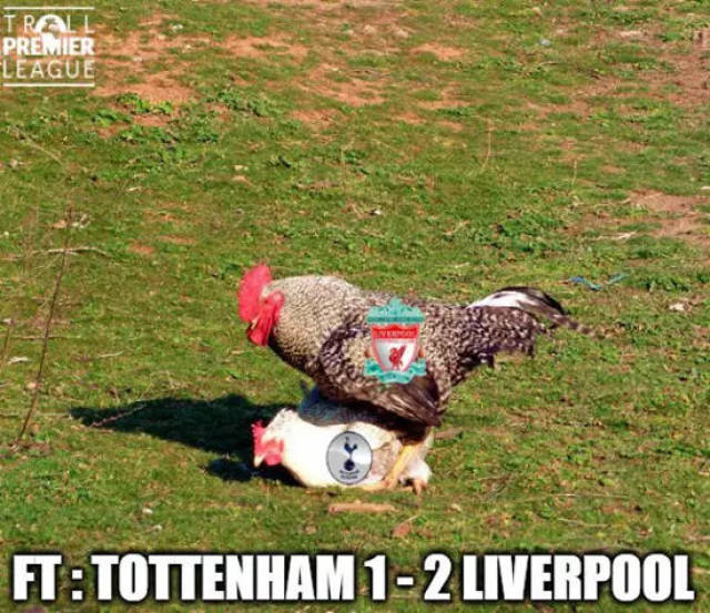 一同入选，麦卡利斯特兄弟是阿根廷时隔14年再度出现“兄弟国脚”